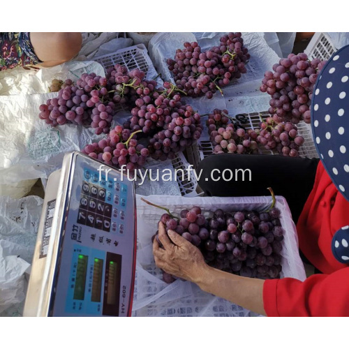 Raisin nouvelle récolte de 2019 ans